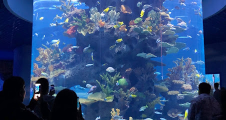 Orange Coast College Aquarium