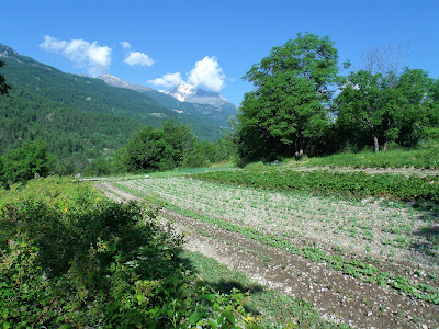 Les Jardins de Florette à Les Vigneaux