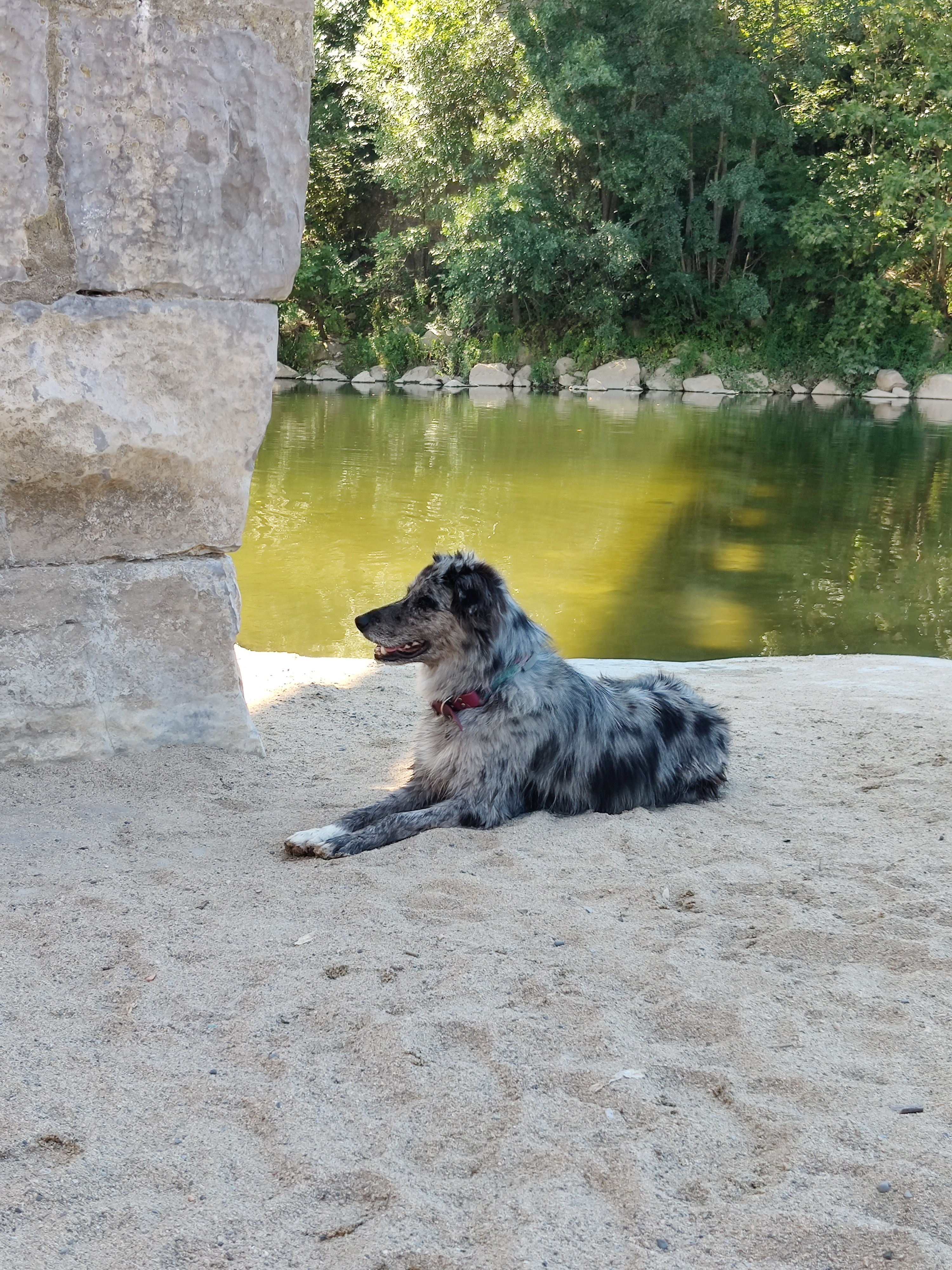 Photo n° 2 de l'avis de jelle.e fait le 09/09/2023 à 17:02