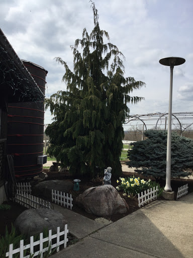 Winery «Vinoklet Winery», reviews and photos, 11069 Colerain Ave, Cincinnati, OH 45252, USA