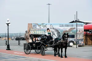 Victoria Carriage Tours image