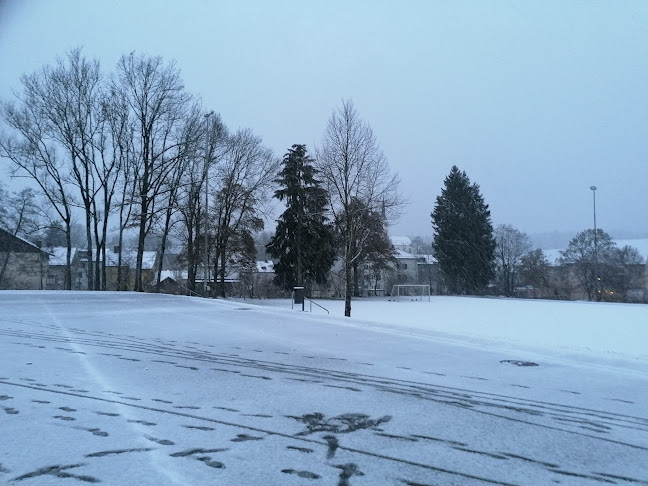 Rezensionen über Sekundarschule Büelwiesen in Winterthur - Schule