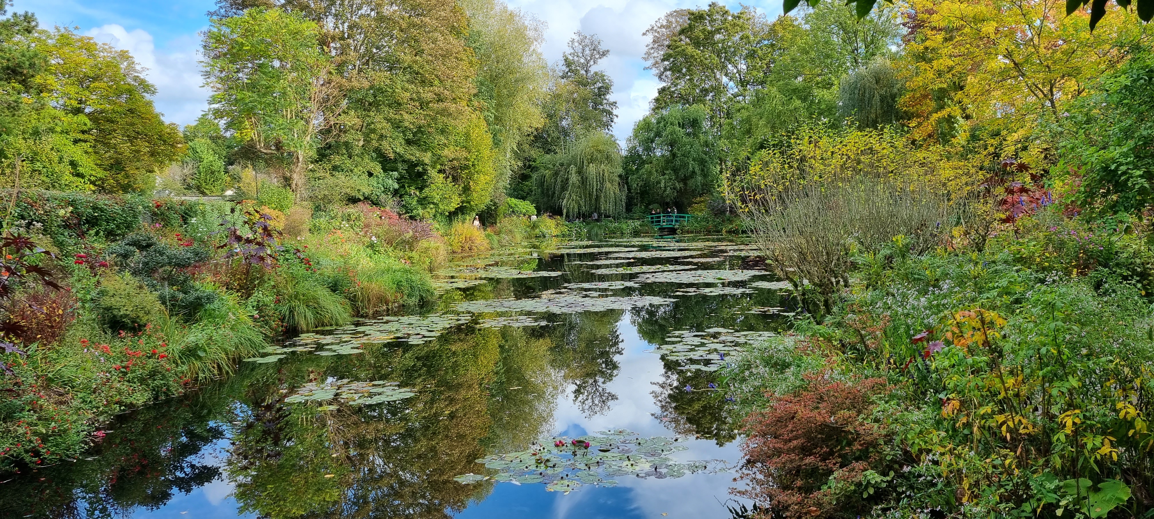 Photo n° 8 de l'avis de lemagicien40. fait le 03/11/2023 à 07:28