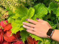 Vanity Beauty Lounge - Photo 2 - Car repair in San Francisco, CA, San Francisco