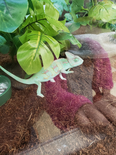 Pet Supply Store «Petco Animal Supplies», reviews and photos, 86 Storrs Rd, Mansfield Center, CT 06250, USA