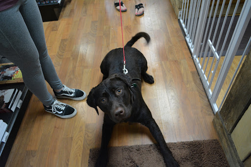 Pet Supply Store «The Natural Pet Enrichment Center», reviews and photos, 6720 Royalton Rd, North Royalton, OH 44133, USA