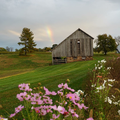 Vineyard «Early Mountain Vineyards», reviews and photos, 6109 Wolftown-Hood Rd, Madison, VA 22727, USA