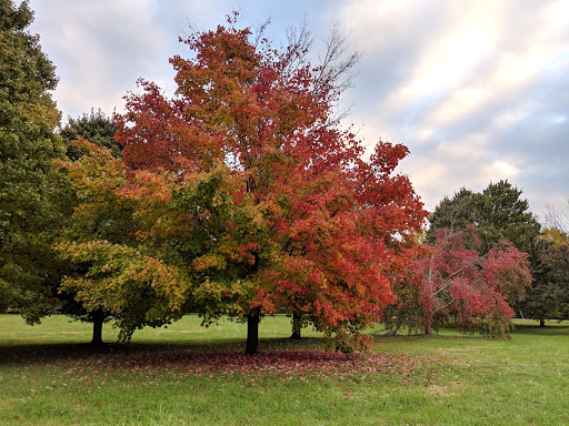 Park «Des Pres Park», reviews and photos, 4709 Lowe Rd, Louisville, KY 40220, USA