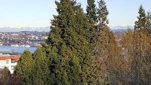 Thomas C. Wales Park - photo 32