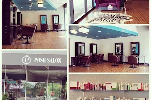 Posh Salon image