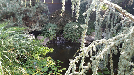 Garden «Sierra Water Gardens», reviews and photos, 2110 Dickerson Rd, Reno, NV 89503, USA