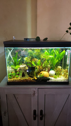 Pet Store «Fish 4 U», reviews and photos, 4010 Highland Dr #1, Millcreek, UT 84124, USA