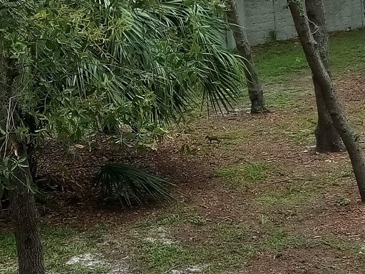 Community Center «University Area Community Center», reviews and photos, 14013 N 22nd St, Tampa, FL 33613, USA