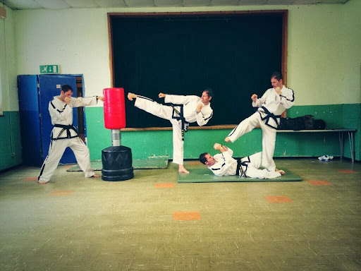 Taekwondo South Schools