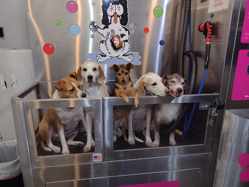 Pet Groomer «Belly scRubs Self Service Pet Wash», reviews and photos, 119 WV-34 #1, Hurricane, WV 25526, USA