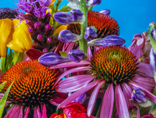 Florist «Blooms», reviews and photos, 3601 East Coast Hwy, Corona Del Mar, CA 92625, USA