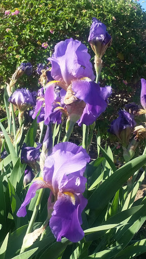 Park «Lookout Mountain Preserve», reviews and photos, 15800 N 16th St, Phoenix, AZ 85022, USA