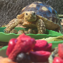 Endless Pets and Supplies - Photo 8 - Car repair in Toledo, OH, Toledo