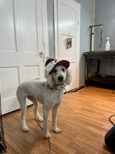 Beauty Barks Dog Salon