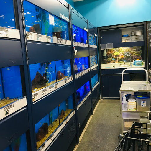 Pet Supply Store «Petco Animal Supplies», reviews and photos, 5215 Lakewood Blvd, Lakewood, CA 90712, USA