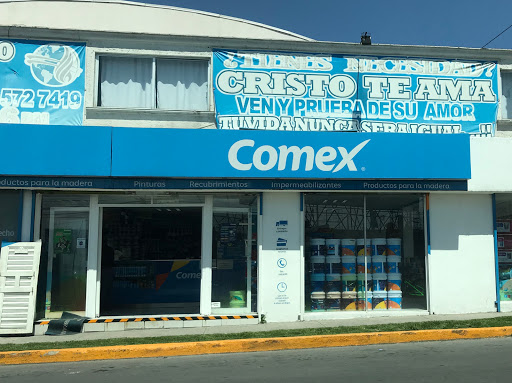 Sitios para comprar pintura barata en Toluca de Lerdo