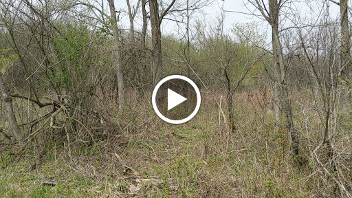 Golf Course «Radrick Farms Golf Course», reviews and photos, 4875 Geddes Road, Ann Arbor, MI 48105, USA