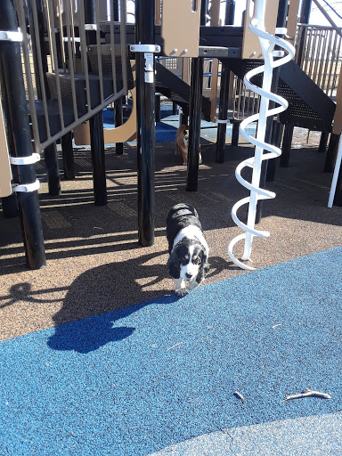 Park «Joe Moakley Park», reviews and photos, 1005 Columbia Road, Boston, MA 02127, USA