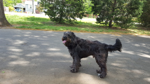 Recreation Center «Sevier Park Community Center», reviews and photos, 3021 Lealand Ln, Nashville, TN 37204, USA