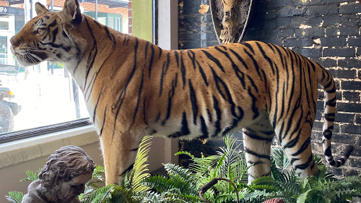 Art Gallery «Dysfunctional Grace Art Co», reviews and photos, 1903 E 7th Ave, Tampa, FL 33605, USA