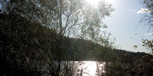 Park «Delaney Creek Park», reviews and photos, 8215 N Delaney Park Rd, Scottsburg, IN 47170, USA