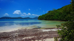 Brown Bay Beach'in fotoğrafı düz bir kıyı şeridi ile birlikte