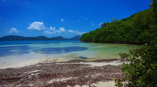 Brown Bay Beach