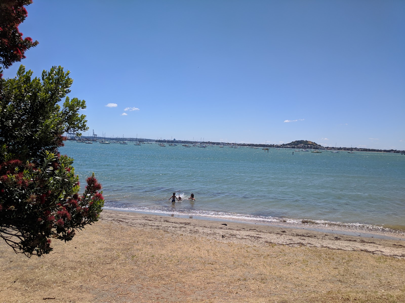 Photo de Okahu Bay Beach - endroit populaire parmi les connaisseurs de la détente
