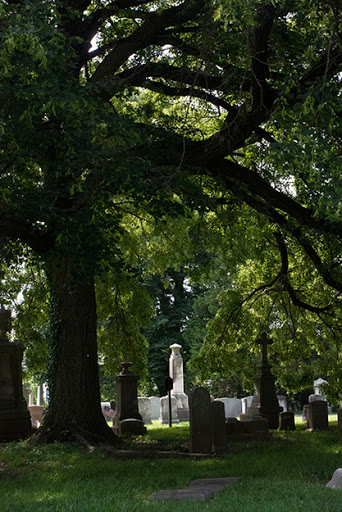 Laurel Hill Cemetery