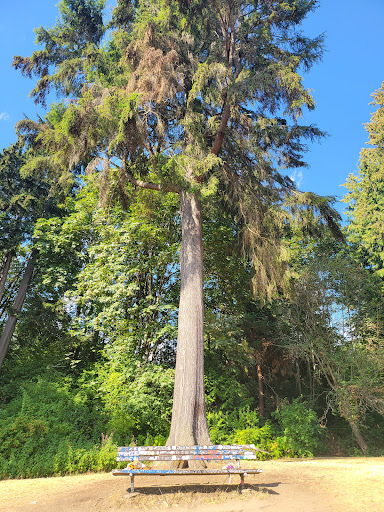 Park «Viretta Park», reviews and photos, 151 Lake Washington Blvd E, Seattle, WA 98112, USA