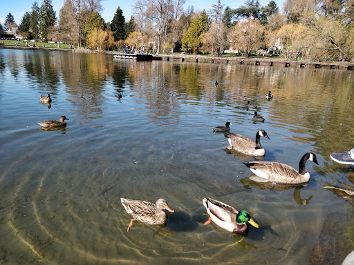 Park «Green Lake Park», reviews and photos, 7201 East Green Lake Dr N, Seattle, WA 98115, USA