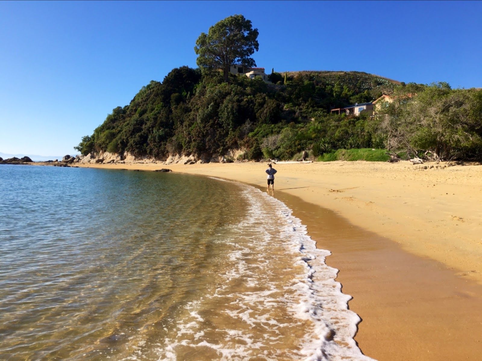 Φωτογραφία του Little Kaiteriteri Beach με επίπεδο καθαριότητας πολύ καθαρό