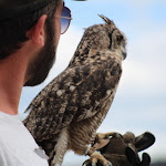 Photo n° 4 de l'avis de Lianne. fait le 28/07/2022 à 05:21 pour JURAFAUNE à Hauteroche