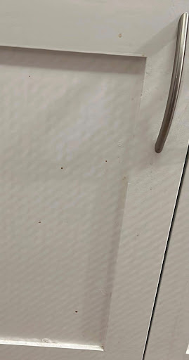 House Cleaning Service «MOLLY MAID of Greater Austin», reviews and photos, 7801 N Lamar Blvd a132, Austin, TX 78752, USA