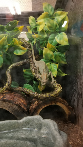 Pet Supply Store «PetSmart», reviews and photos, 745 W Huntington Dr, Monrovia, CA 91016, USA