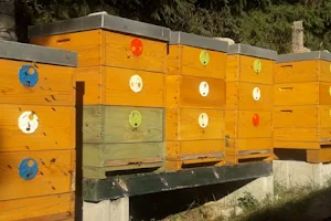 Včelařství Pospíšil image