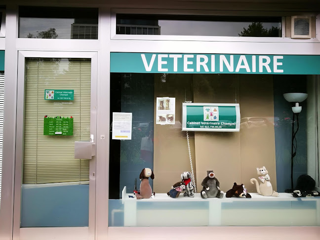 Rezensionen über Cabinet Vétérinaire Champel in Genf - Tierarzt