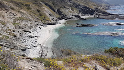 Foto von Spiaggia Isola dei Porri mit gerader strand