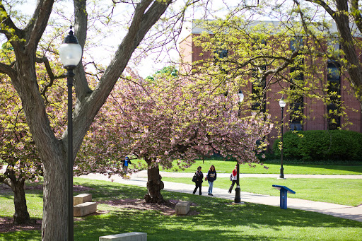 University «Widener University», reviews and photos, 1 University Pl, Chester, PA 19013, USA