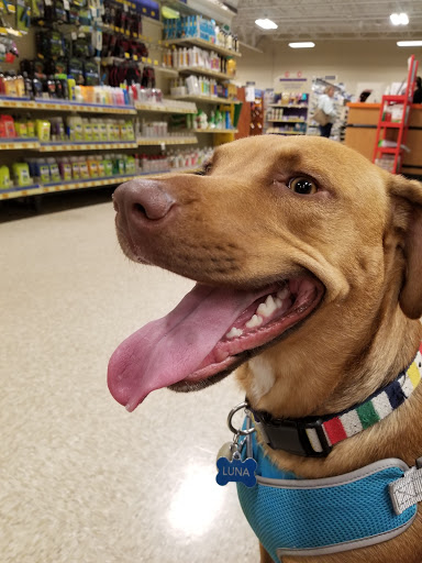 Pet Supply Store «PetSmart», reviews and photos, 14137 Rivergate Pkwy, Charlotte, NC 28273, USA