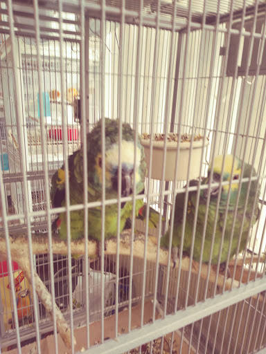 Pet Supply Store «El Granero Feed & Pet Supplies», reviews and photos, 2228 Church Ln, San Pablo, CA 94806, USA