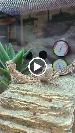 Pet Supply Store «Petco Animal Supplies», reviews and photos, 600 US-441, The Villages, FL 32159, USA