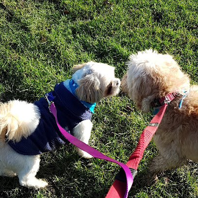 Pawfection Dog Walks