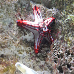 Photo n° 3 de l'avis de Inigo.o fait le 25/07/2019 à 09:04 pour Aquarium de Limoges à Limoges