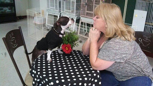 Pet Store «Pet Pantry Yakima», reviews and photos, 5701 Summitview Ave, Yakima, WA 98908, USA